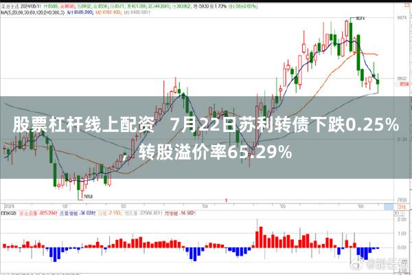 股票杠杆线上配资   7月22日苏利转债下跌0.25%，转股溢价率65.29%