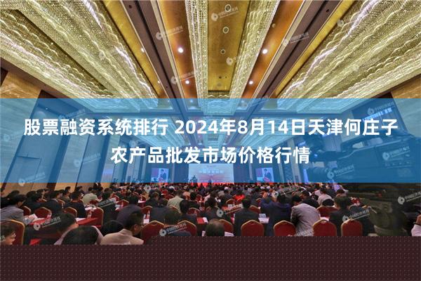 股票融资系统排行 2024年8月14日天津何庄子农产品批发市场价格行情