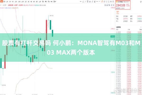 股票有杠杆交易吗 何小鹏：MONA智驾有M03和M03 MAX两个版本