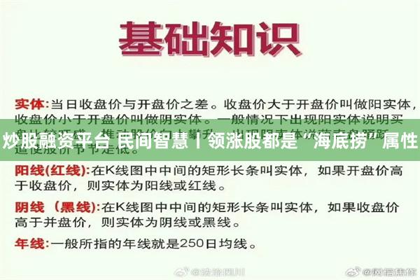 炒股融资平台 民间智慧丨领涨股都是“海底捞”属性