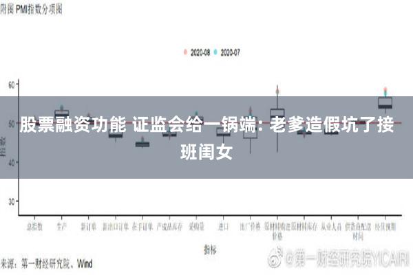 股票融资功能 证监会给一锅端: 老爹造假坑了接班闺女