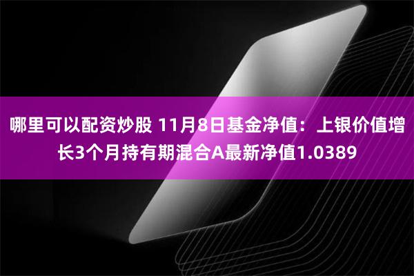 哪里可以配资炒股 11月8日基金净值：上银价值增长3个月持有期混合A最新净值1.0389