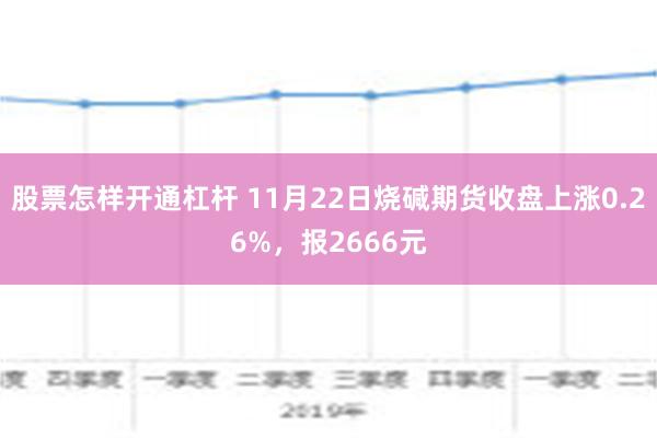 股票怎样开通杠杆 11月22日烧碱期货收盘上涨0.26%，报2666元