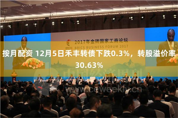 按月配资 12月5日禾丰转债下跌0.3%，转股溢价率30.63%