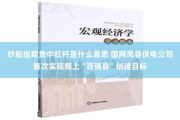 炒股指期货中杠杆是什么意思 国网凤县供电公司首次实现规上“百强县”创建目标